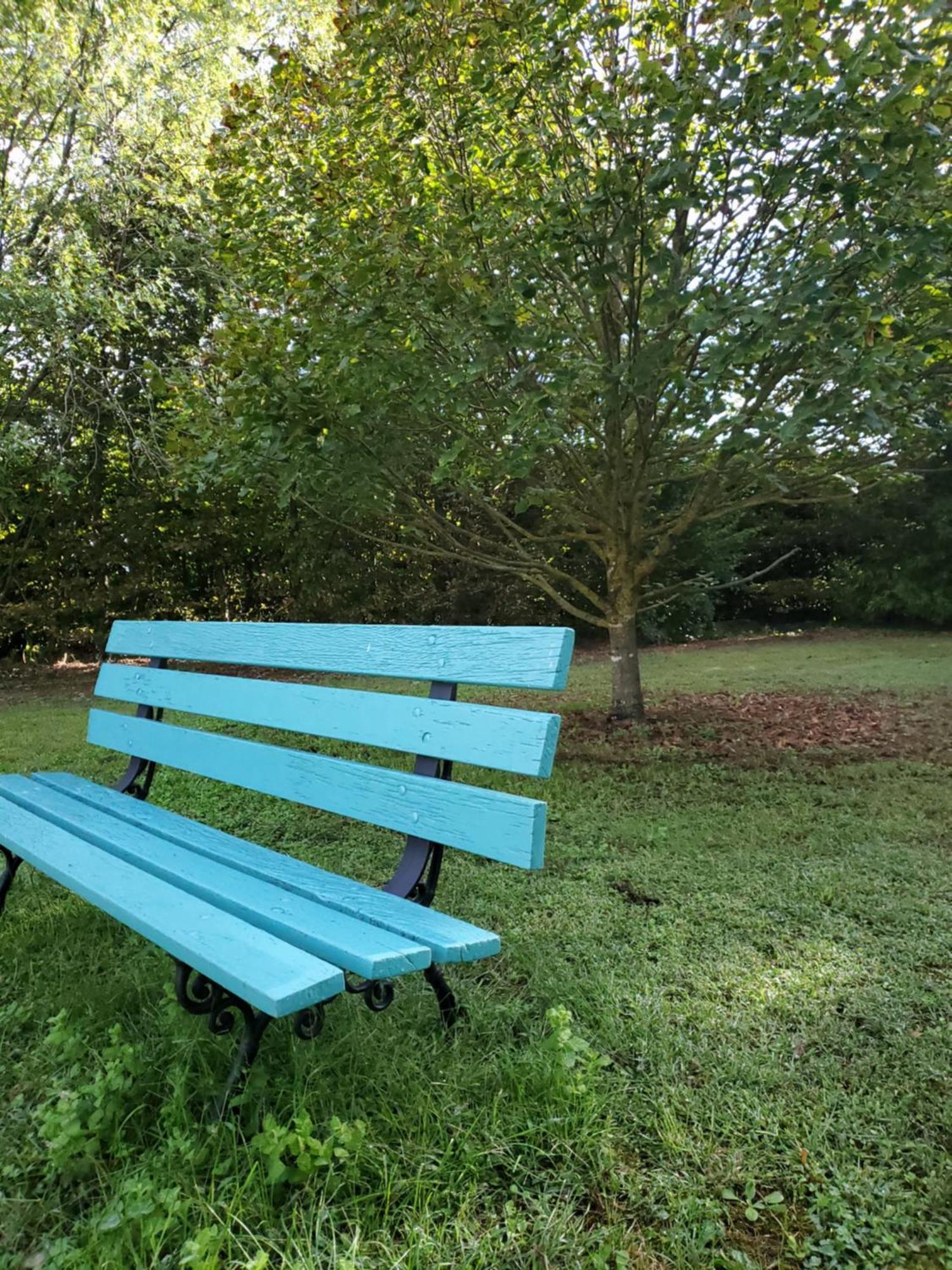 Domaine De La Gemoliere Bed & Breakfast Gémozac Dış mekan fotoğraf