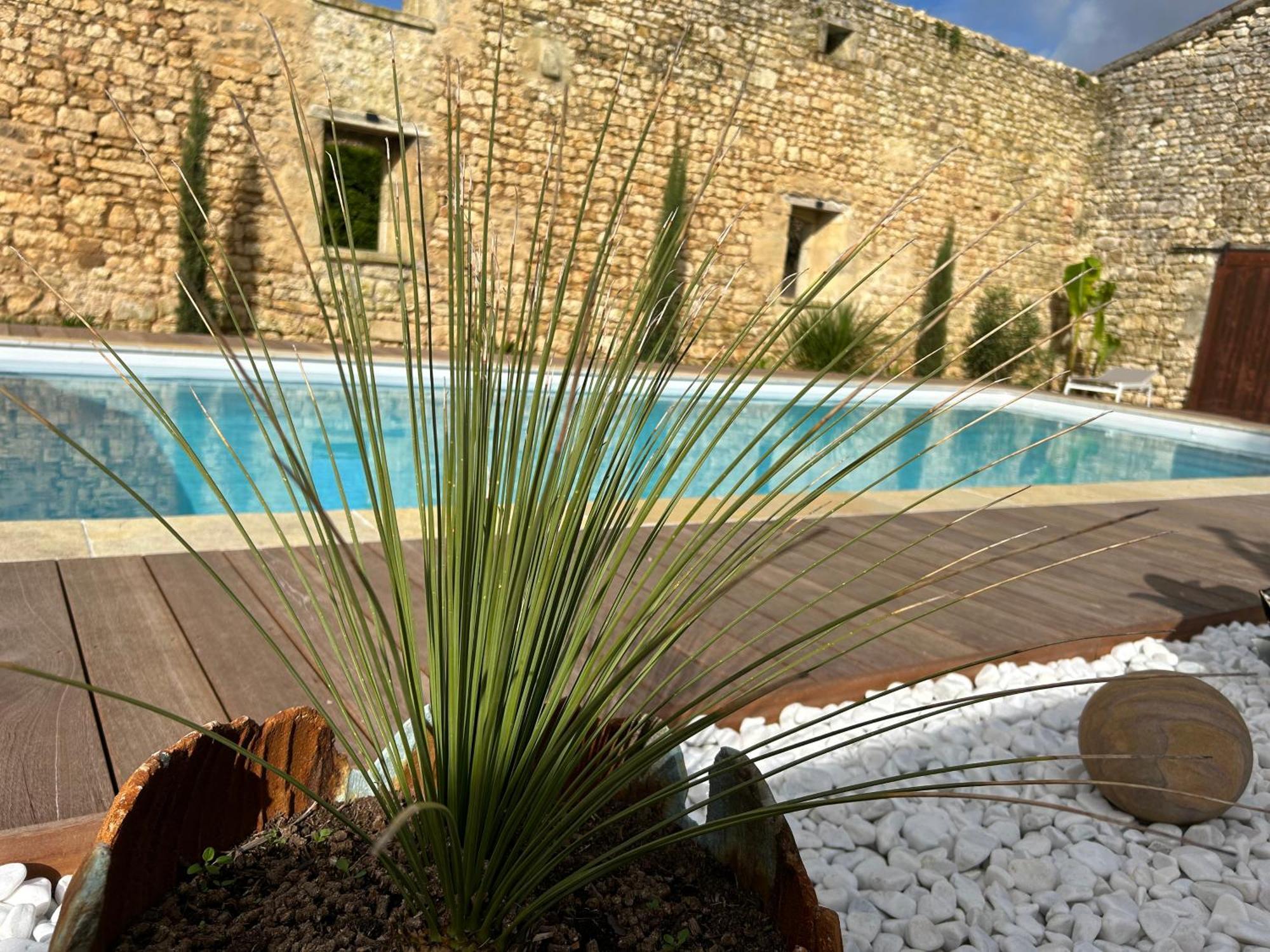 Domaine De La Gemoliere Bed & Breakfast Gémozac Dış mekan fotoğraf
