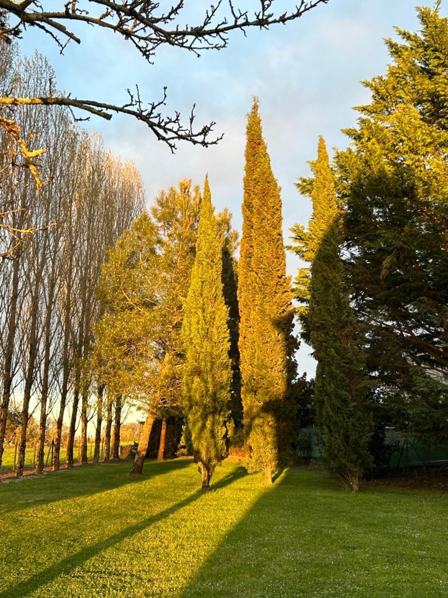 Domaine De La Gemoliere Bed & Breakfast Gémozac Dış mekan fotoğraf